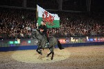 Cavalry - 00370